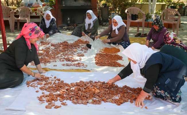 Tarhana Ekime Kaldı